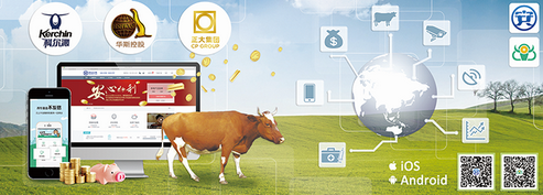 畜牧业搭乘物联网，开启智能养殖时代